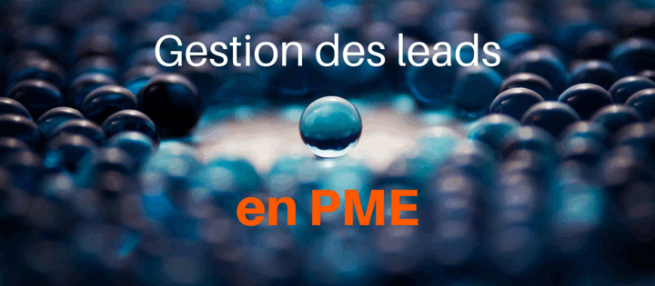 Gestion des leads en PME