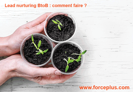 Lead nurturing BtoB | FORCE PLUS