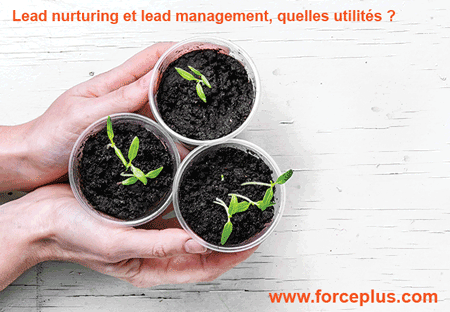 Lead nurturing et lead management | FORCE PLUS