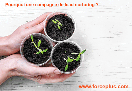 Pourquoi une campagne de lead nurturing | FORCE PLUS