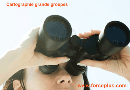 cartographie grands groupes | FORCE PLUS