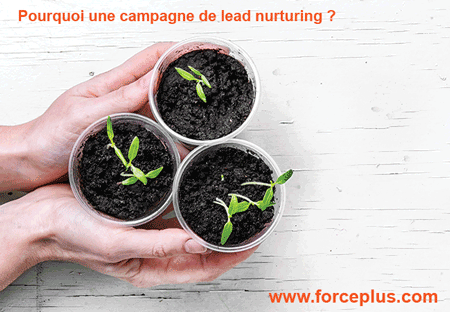 Pourquoi une campagne de lead nurturing