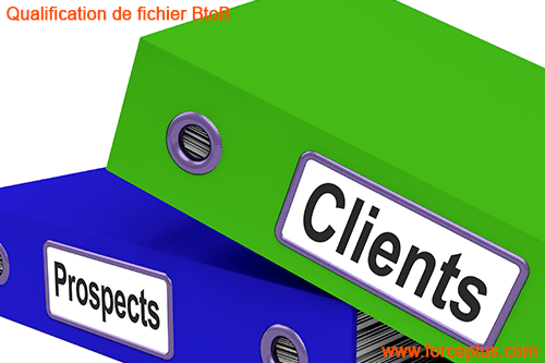 Qualification de fichier BtoB