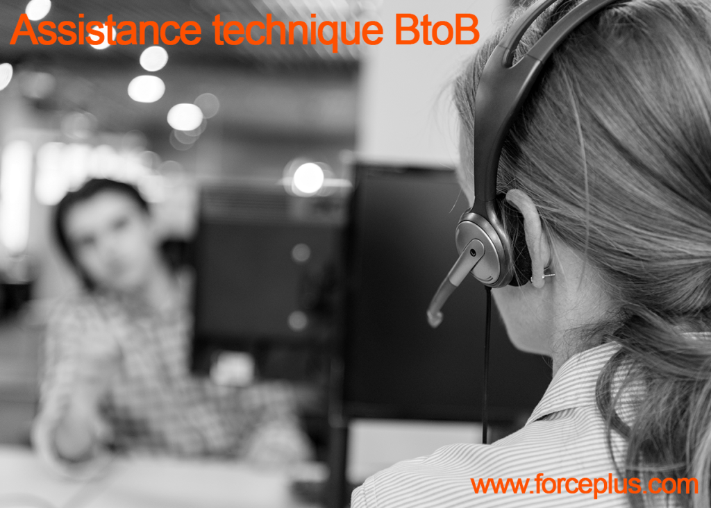 assistance technique BtoB