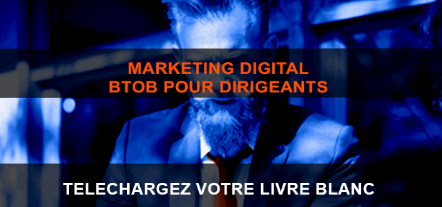 livre blanc marketing digital pour dirigeants